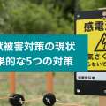 鳥獣被害対策の現状 効果的な5つの対策