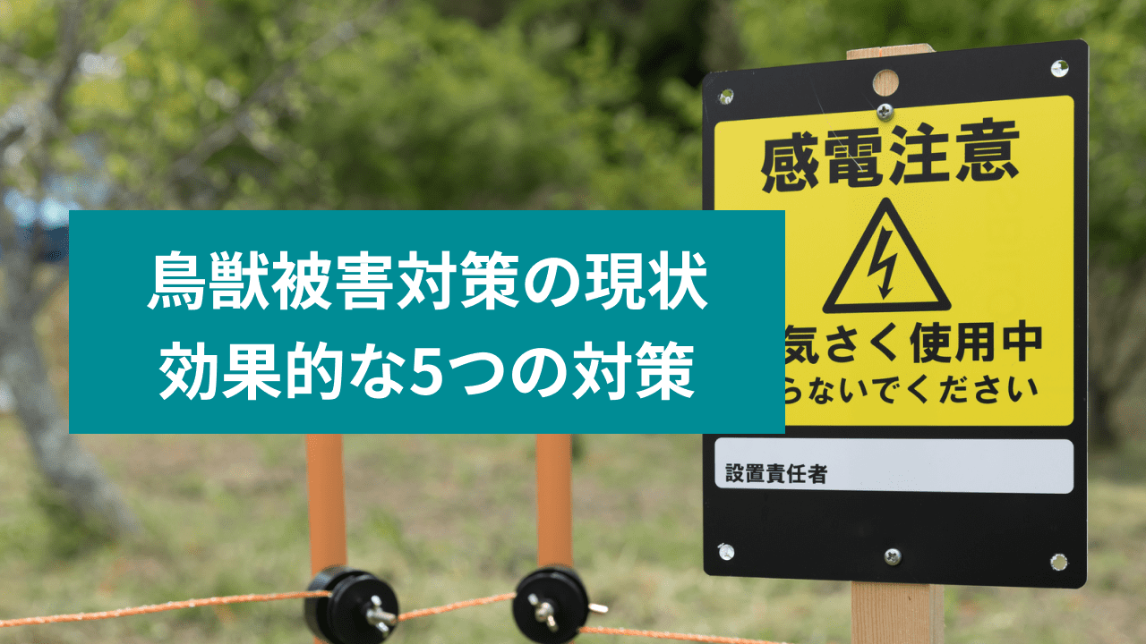 鳥獣被害対策の現状 効果的な5つの対策