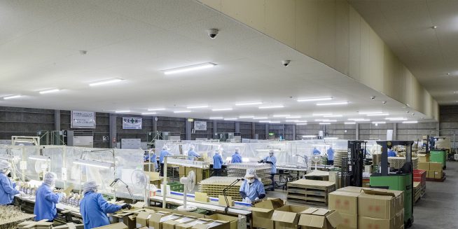 石塚硝子株式会社