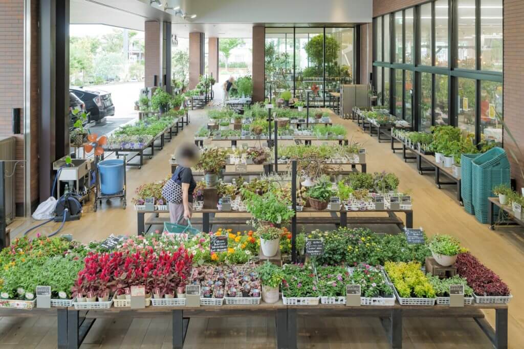 店舗の植物販売エリア